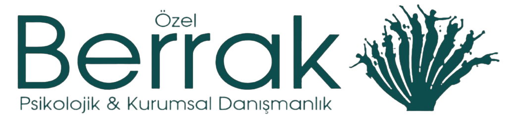 Berrak Consultancy